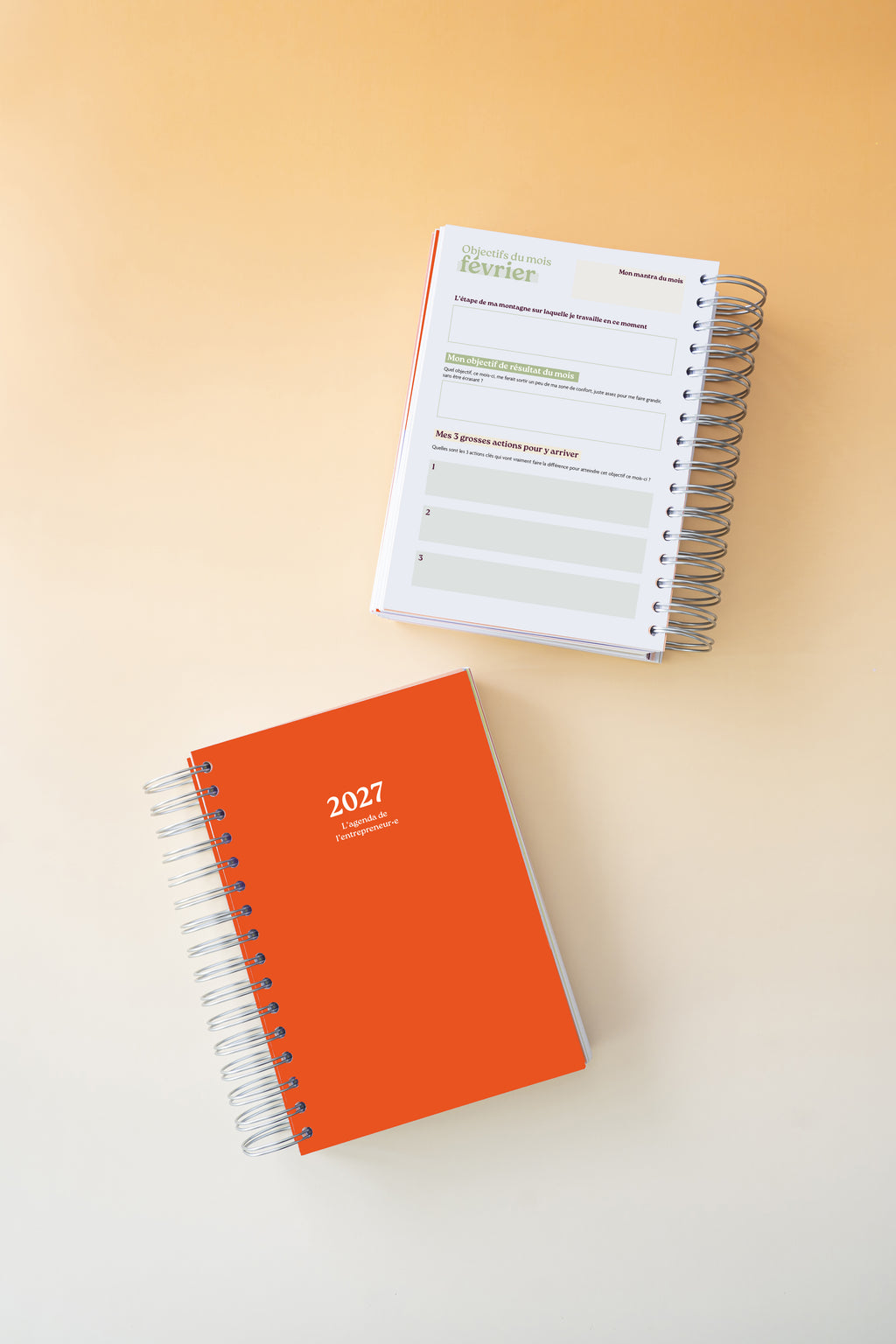 Le pack collector de l'agenda de l'entrepreneur•e