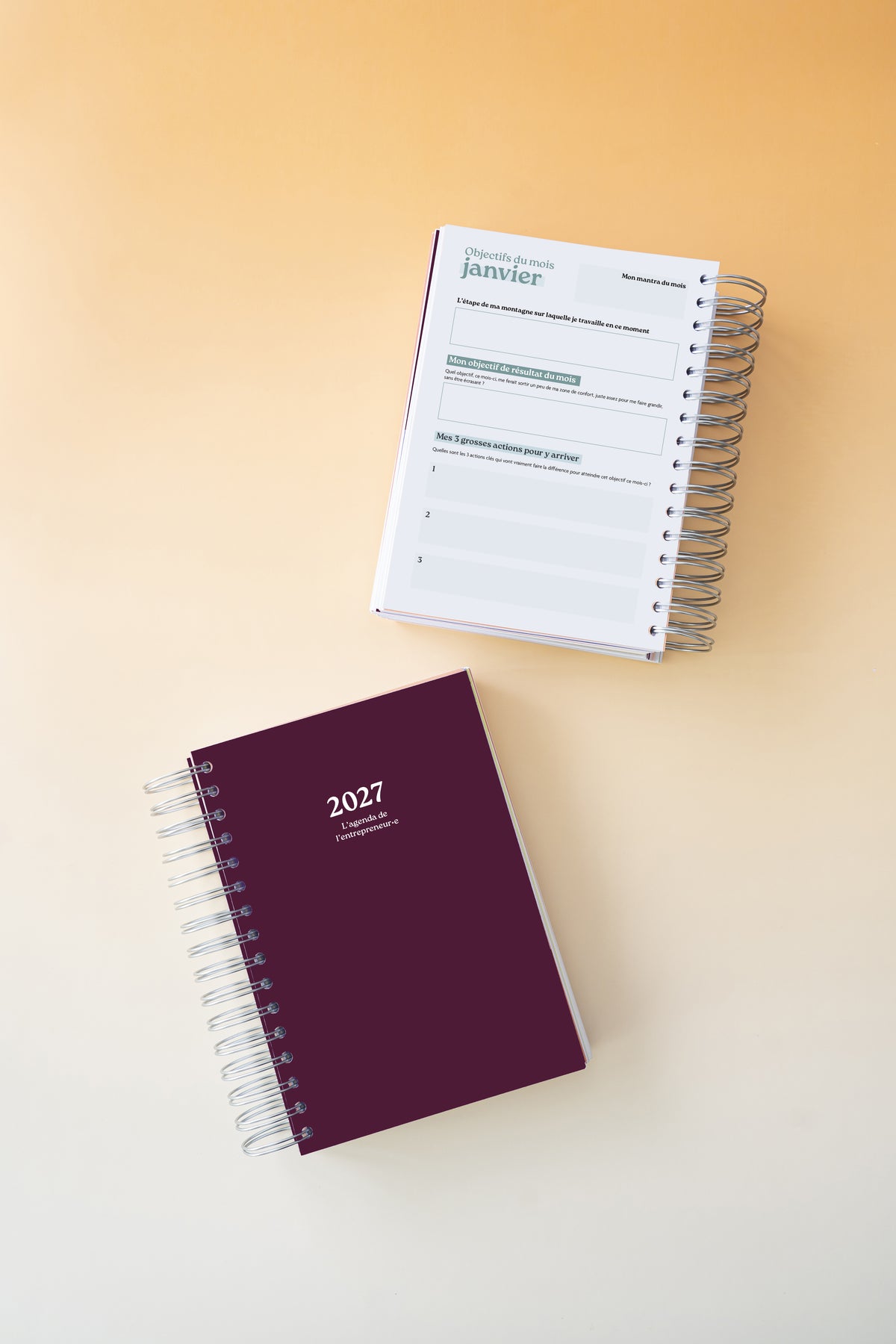 Le pack collector de l'agenda de l'entrepreneur•e