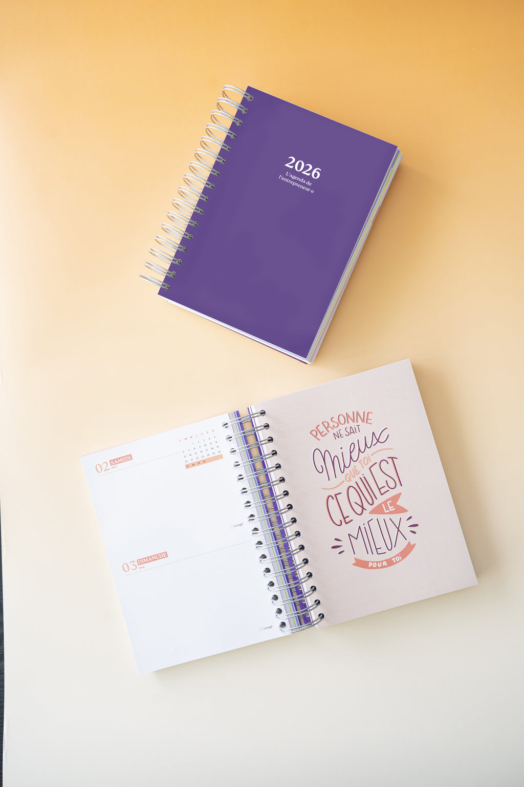 Le pack collector de l'agenda de l'entrepreneur•e