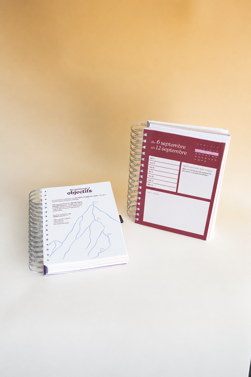 Le pack collector de l'agenda de l'entrepreneur•e